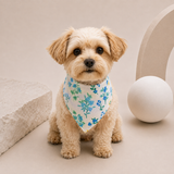 BLOOM ANNE AYAKKABI VE PET BANDANA TAKIM