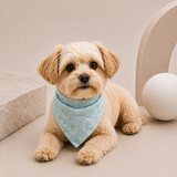 BLUE DREAM PET BANDANA