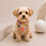GARDEN PARTY PET BOYUNLUK BANDANA