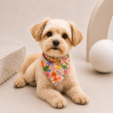 GARDEN PARTY PET BOYUNLUK BANDANA