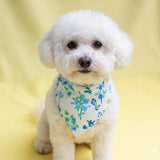 BLOOM PET BOYUNLUK BANDANA
