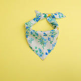 BLOOM ANNE AYAKKABI VE KÖPEK BANDANA TAKIM
